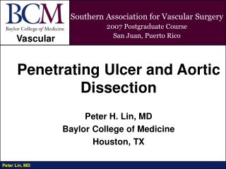 Southern Association for Vascular Surgery 2007 Postgraduate Course San Juan, Puerto Rico