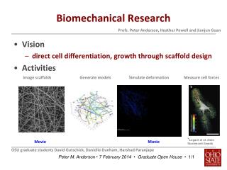 Biomechanical Research