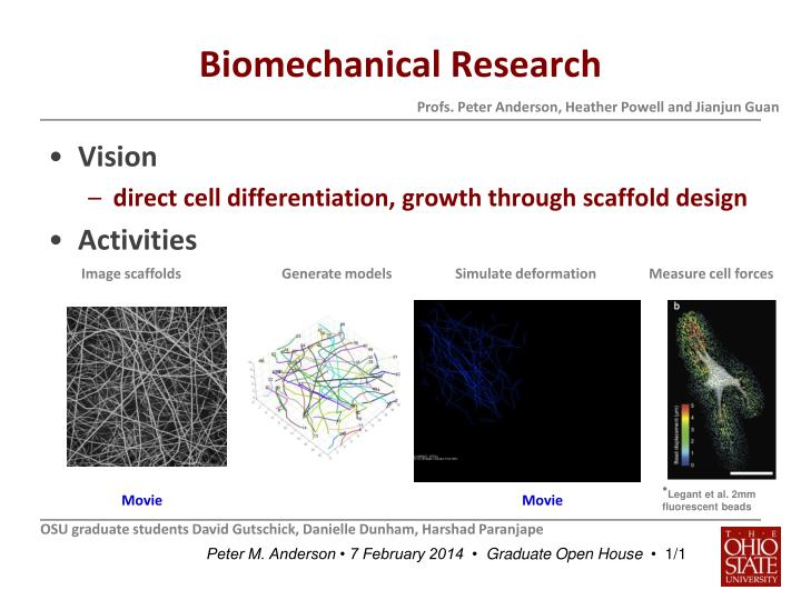 biomechanical research