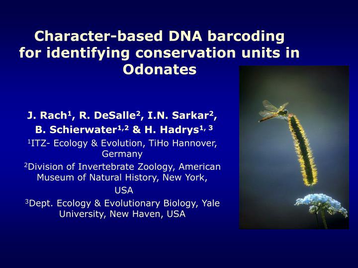 character based dna barcoding for identifying conservation units in odonates