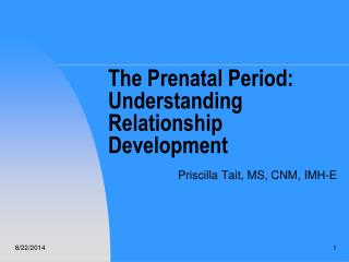 The Prenatal Period: Understanding Relationship Development
