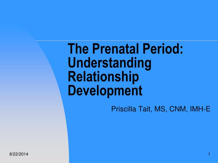 the prenatal period understanding relationship development