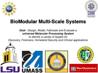 BioModular Multi-Scale Systems