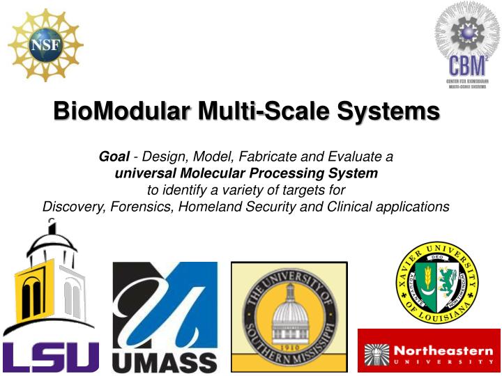 biomodular multi scale systems