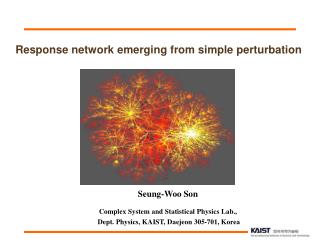 Response network emerging from simple perturbation