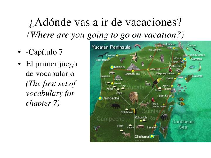 ad nde vas a ir de vacaciones where are you going to go on vacation