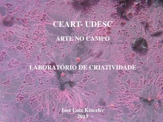 CEART- UDESC ARTE NO CAMPO LABORATÓRIO DE CRIATIVIDADE José Luiz Kinceler 2013