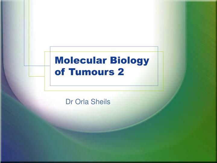 molecular biology of tumours 2