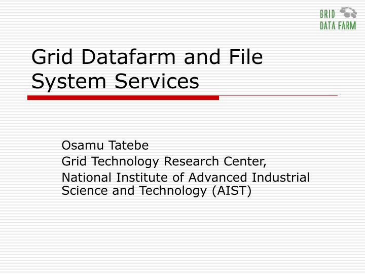 grid datafarm and file system services