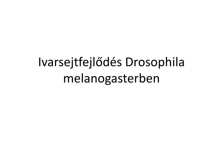 ivarsejtfejl d s drosophila melanogasterben