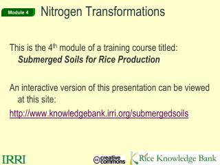 Nitrogen Transformations