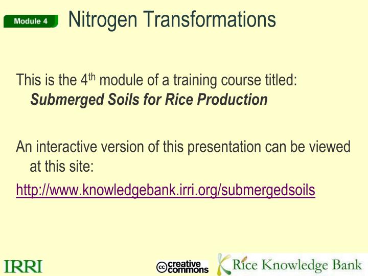 nitrogen transformations