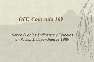 oit convenio 169