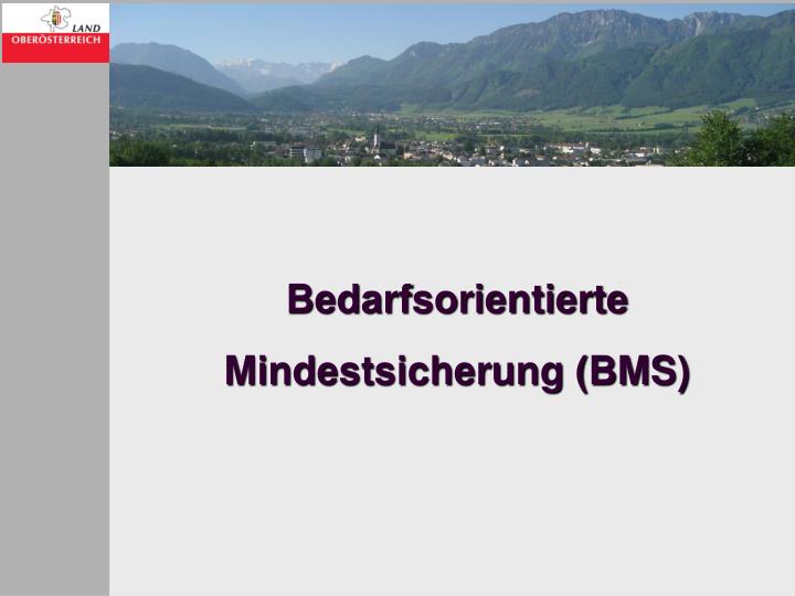 bedarfsorientierte mindestsicherung bms