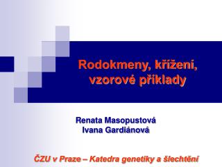 rodokmeny k en vzorov p klady