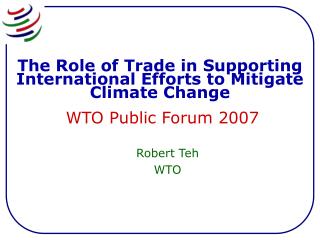 Robert Teh WTO