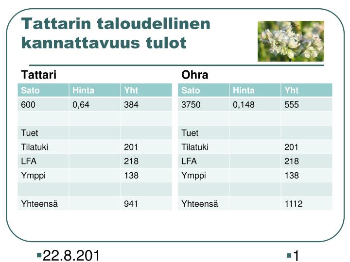 tattarin taloudellinen kannattavuus tulot