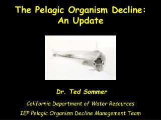 Dr. Ted Sommer