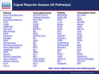 Cignal Reporter Assays (45 Pathways)