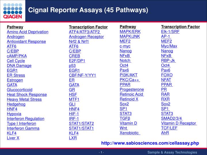 cignal reporter assays 45 pathways