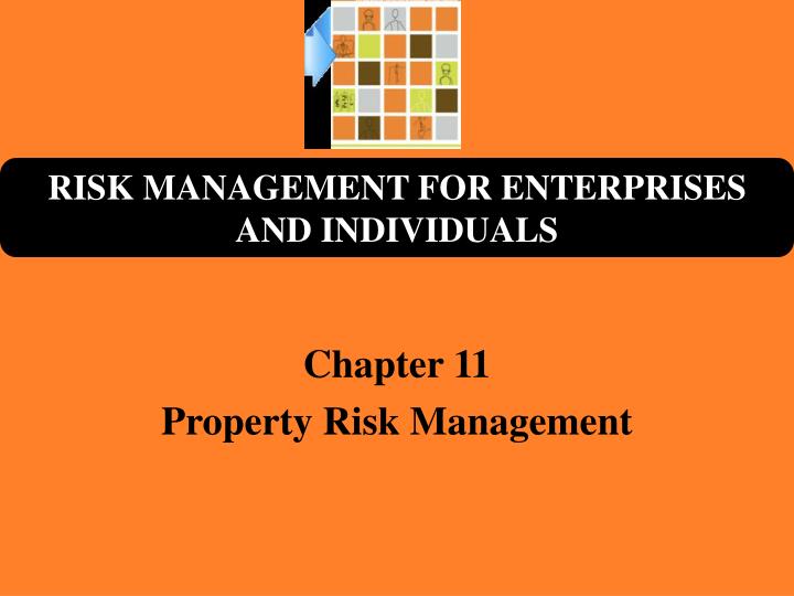 chapter 11 property risk management