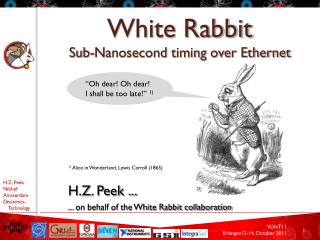 White Rabbit Sub-Nanosecond timing over Ethernet