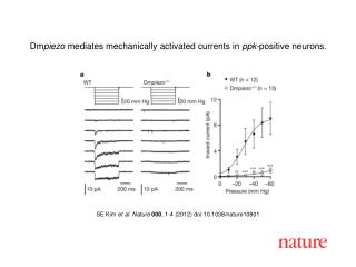 SE Kim et al . Nature 000 , 1 - 4 (2012) doi:10.1038/nature10801