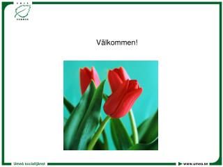 v lkommen