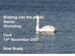 Bidding into the public Sector Workshop Cork 14 th November 2007 Noel Brady