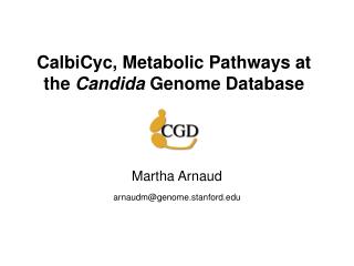 CalbiCyc, Metabolic Pathways at the Candida Genome Database