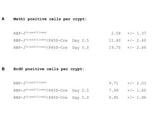 Math1 positive cells per crypt: RBP-J floxed/floxed			 	 2.58 	 +/- 1.37