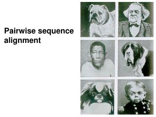 Pairwise sequence alignment