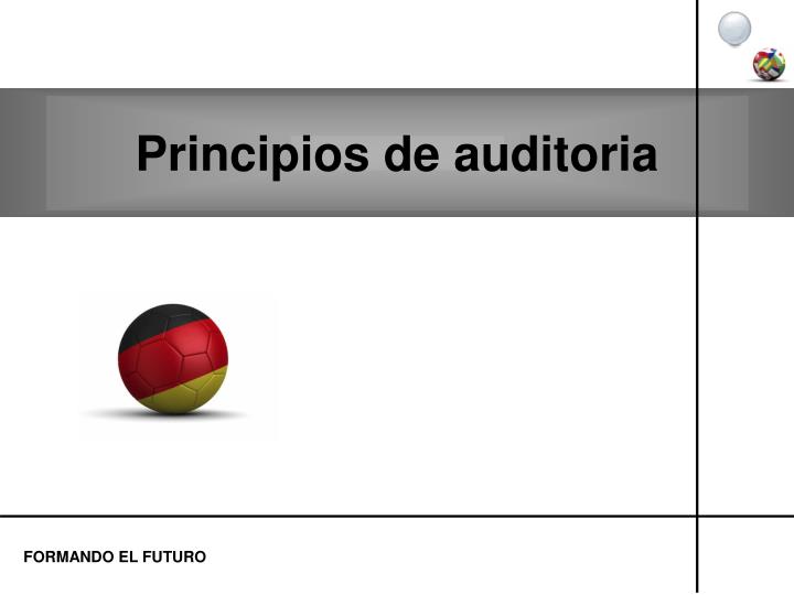 principios de auditoria