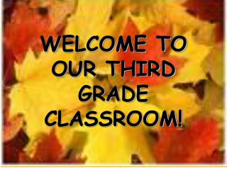 WELCOME TO OUR THIRD GRADE CLASSROOM!