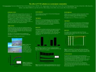 The effect of UV-B radiation on coastal plant communities
