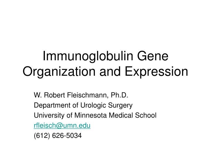 immunoglobulin gene organization and expression