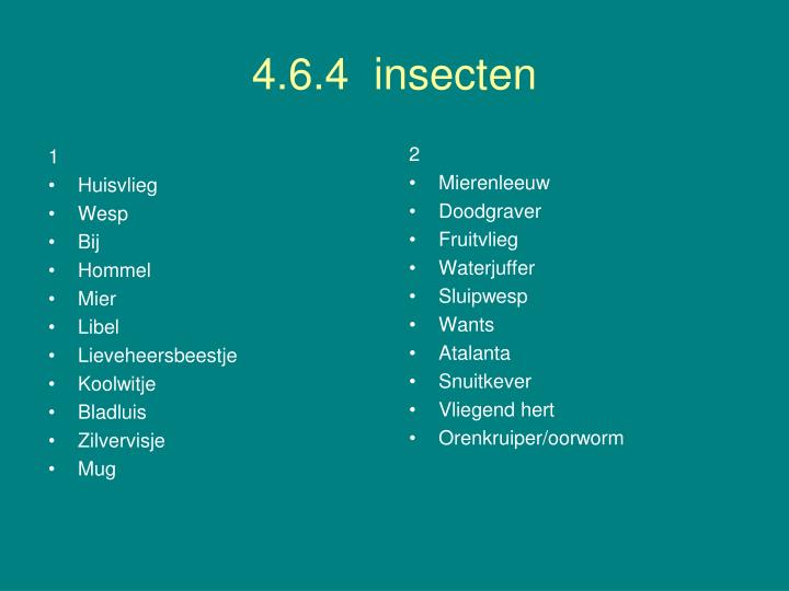 4 6 4 insecten