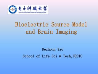 Bioelectric Source Model and Brain Imaging