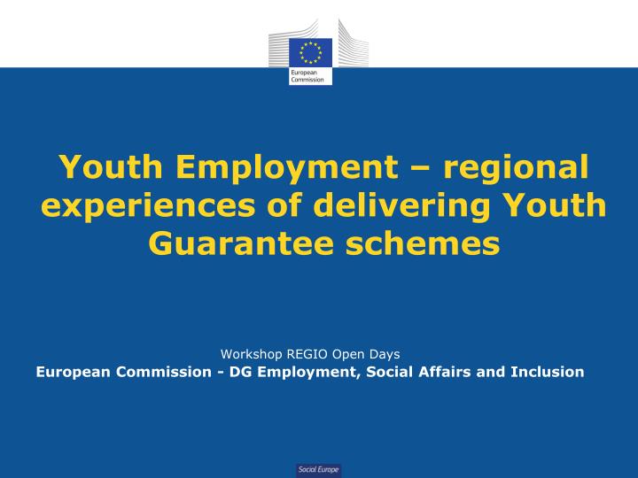 youth employment regional experiences of delivering youth guarantee schemes