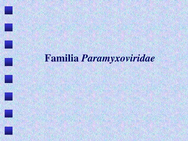 familia paramyxoviridae