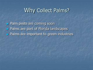 Why Collect Palms?