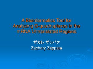 A Bioinformatics Tool for Analyzing G-quadruplexes in the mRNA Untranslated Regions