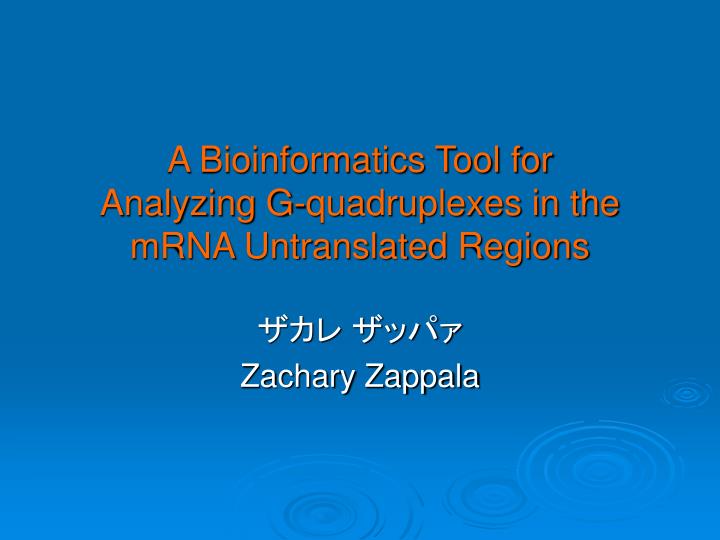 a bioinformatics tool for analyzing g quadruplexes in the mrna untranslated regions