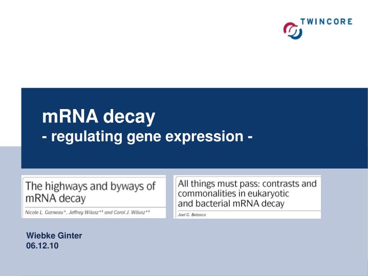 mrna decay regulating gene expression