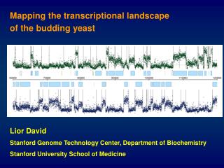 Mapping the transcriptional landscape of the budding yeast