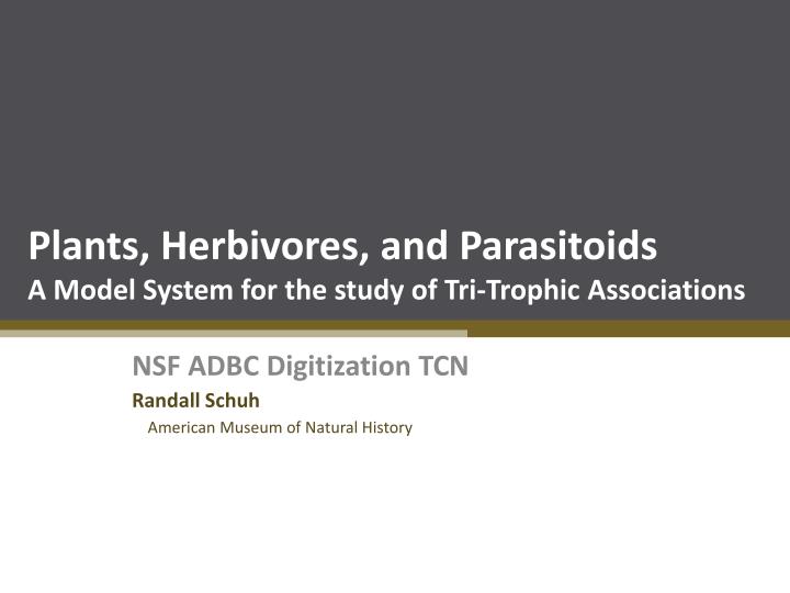 plants herbivores and parasitoids a model system for the study of tri trophic associations