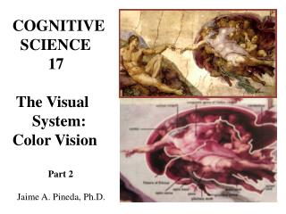 COGNITIVE SCIENCE 17 The Visual System: Color Vision Part 2