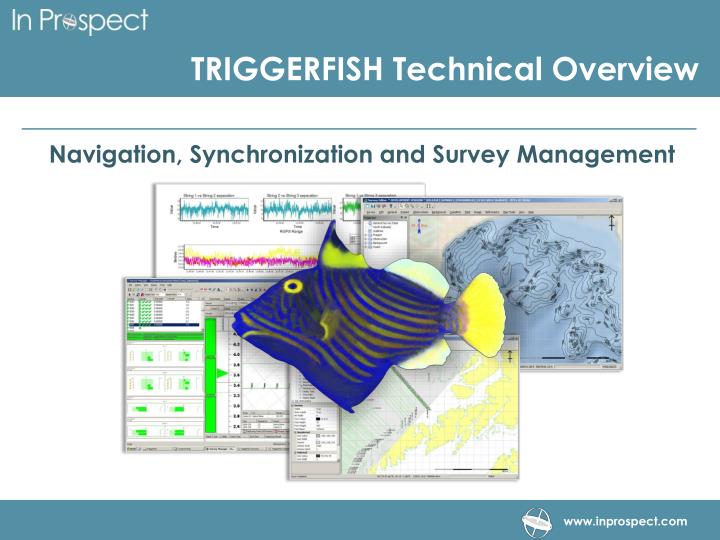 triggerfish technical overview