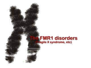 The FMR1 disorders (Fragile X syndrome, etc)