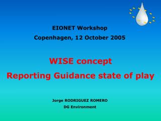 WISE concept Reporting Guidance state of play